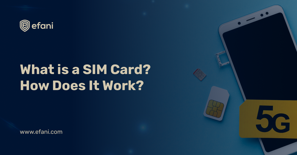 WHAT DOES A SIM CARD DO visual data 8